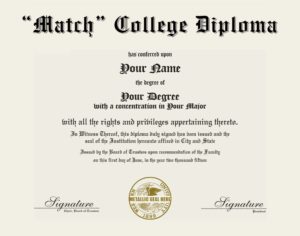 Fake College Diploma Replica with metallic seal